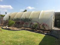 14FT X 30FT POLYTUNNEL - 2