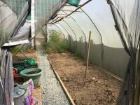 14FT X 30FT POLYTUNNEL - 5