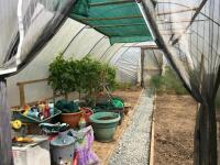 14FT X 30FT POLYTUNNEL - 6