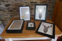 SELECTION OF 10 PHOTO FRAMES - 2