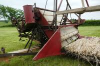 MASSEY SUNSHINE 6B LH 6' BINDER - 16