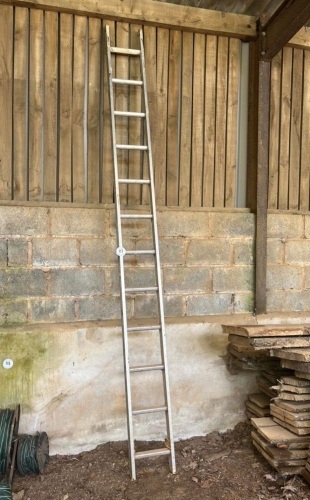 SINGLE ALUMINUM 11' LADDER