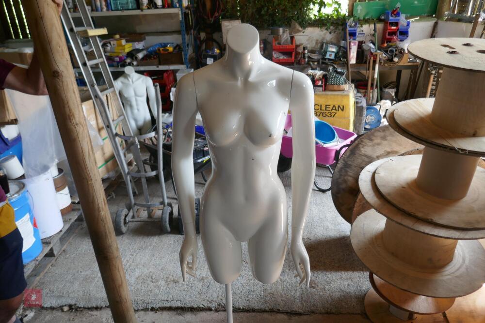 FEMALE MANNEQUIN TORSO ON STAND