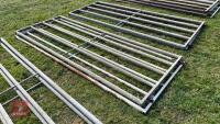 2 X 10' HEAVY DUTY YARD GATES - 3