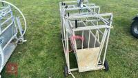 BATEMAN SHEEP WEIGH CRATE - 3