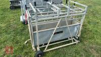 BATEMAN SHEEP WEIGH CRATE - 4