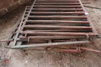 4 X 4'4'' IRON HD PIG GATES - 4