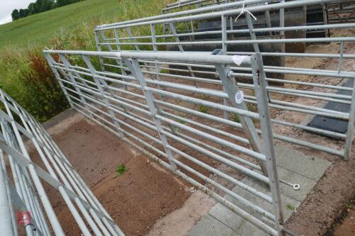 IAE 14' GALVANISED FIELD GATE