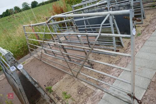 13' GALVANISED FIELD GATE