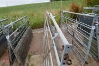 13' GALVANISED FIELD GATE - 2