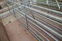 12' GALVANISED FIELD GATE - 5