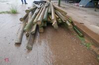 PALLET OF VARIOUS LENGTHS OF POSTS - 3