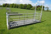 IAE STAND IN SHEEP FOOTBATH SYSTEM - 3