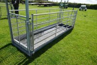 IAE STAND IN SHEEP FOOTBATH SYSTEM - 5