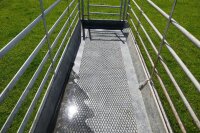 IAE STAND IN SHEEP FOOTBATH SYSTEM - 6