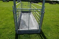 IAE STAND IN SHEEP FOOTBATH SYSTEM - 9