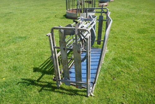 GALVANISED SHEEP ROLLOVER CRATE