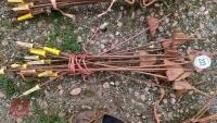 QTY OF METAL PIG TAIL FENCE STAKES