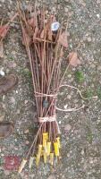 QTY OF METAL PIG TAIL FENCE STAKES