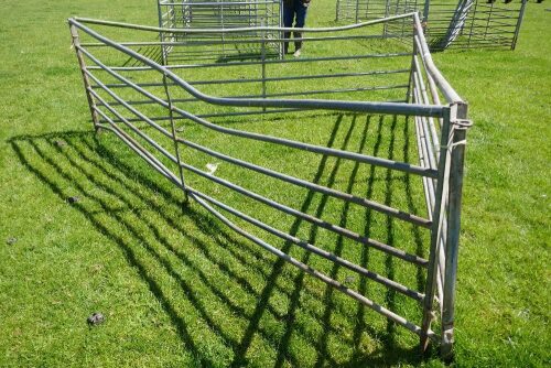 3 X 10' GALV SHEEP HURDLES