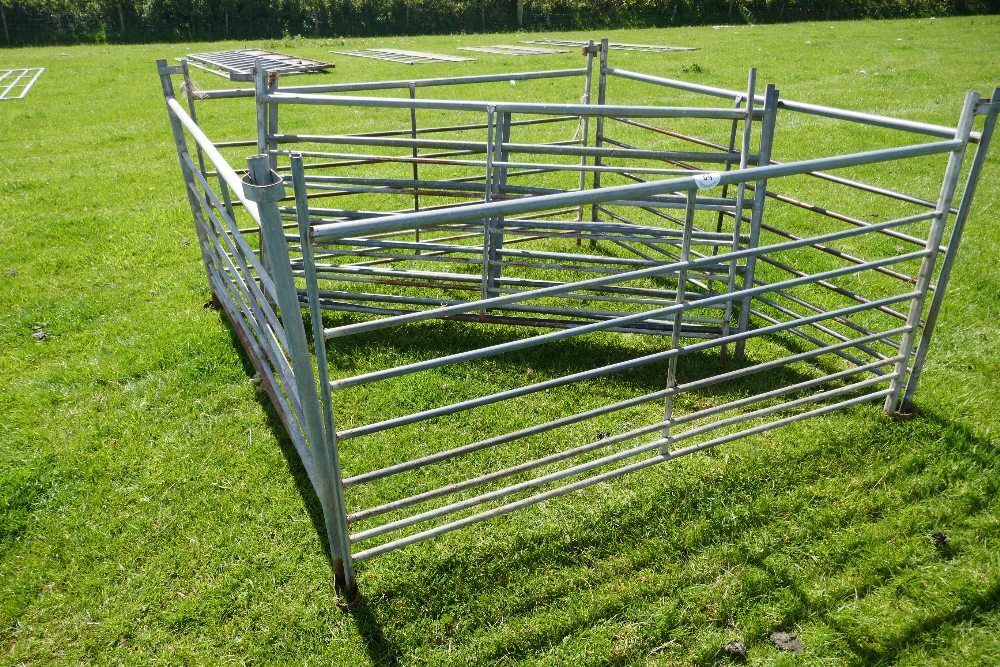 7 X 6' GALV SHEEP HURDLES