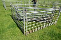 7 X 6' GALV SHEEP HURDLES - 3