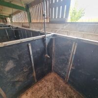 6 LARGE PIG PENS - 4