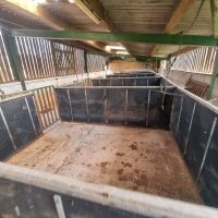 6 LARGE PIG PENS - 6