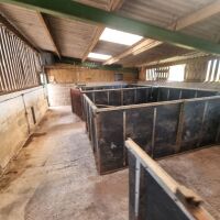 6 LARGE PIG PENS - 11