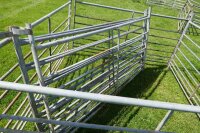 7 X 6' GALV SHEEP HURDLES - 5