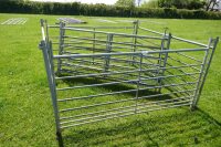 7 X 6' GALV SHEEP HURDLES - 6