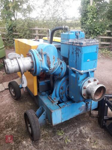 SYKES 6' DIESEL PUMP