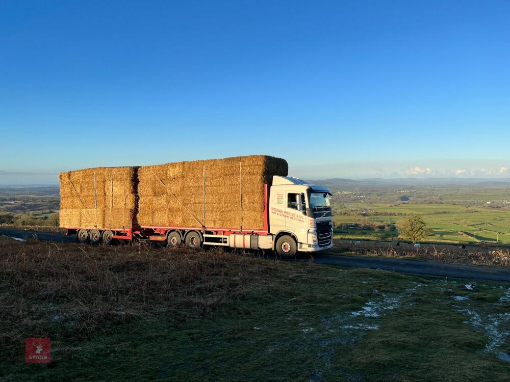 25T OF BARLEY STRAW