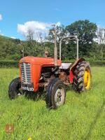 MASSEY FERGUSON 35X TRACTOR - 5