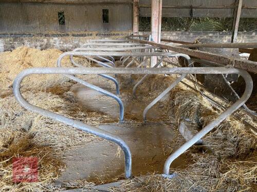 80 GOOD CONDITION COW CUBICLES