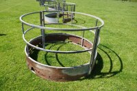 GALV SHEEP RING FEEDER - 4