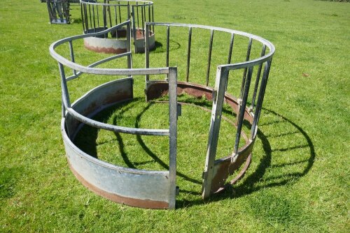 GALV SHEEP RING FEEDER