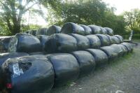 35 BALES OF 2023 SILAGE (BIDS PER BALE)