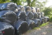 35 BALES OF 2023 SILAGE (BIDS PER BALE) - 4