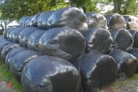 35 BALES OF 2023 SILAGE (BIDS PER BALE) - 5