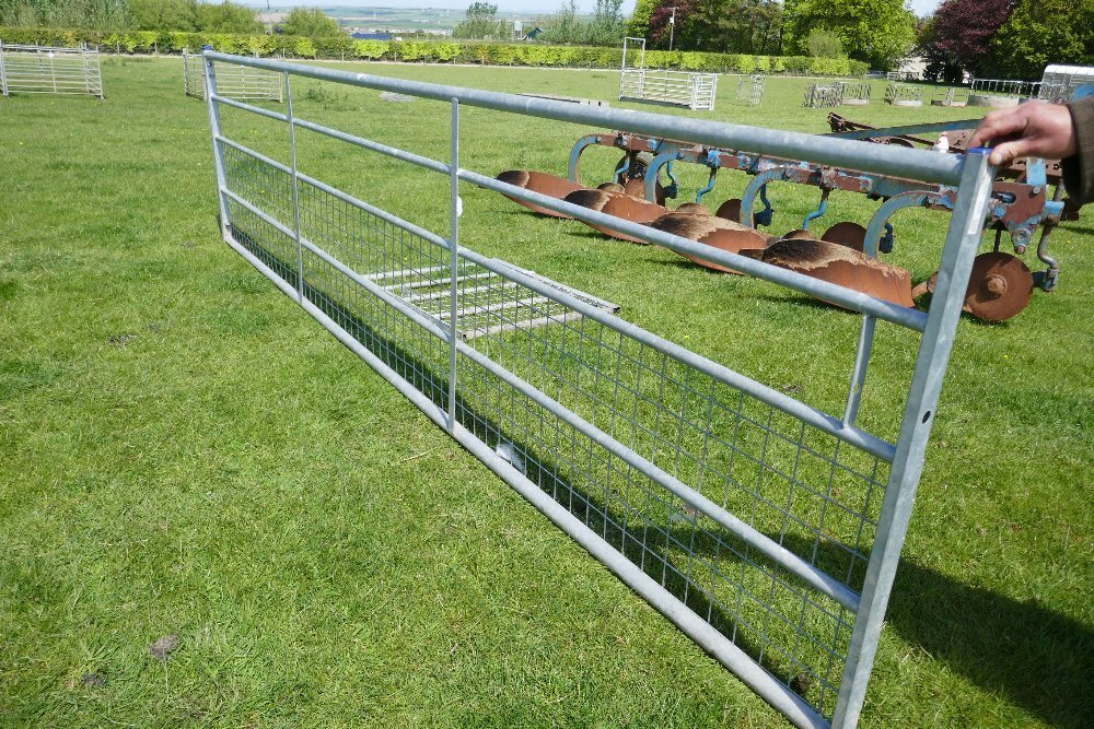 IAE 15' 1/2 MESH GALVANISED GATE