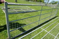 IAE 15' 1/2 MESH GALVANISED GATE - 3