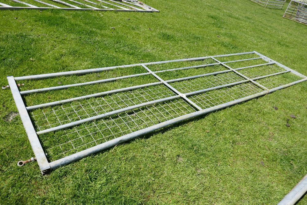 IAE 15' 1/2 MESH GALVANISED GATE