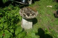 STADDLE STONE - 7