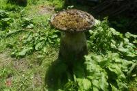 STADDLE STONE - 8
