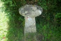 STADDLE STONE