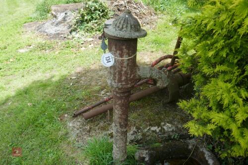 ORNATE WELL PUMP