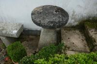 SANDSTONE STADDLE STONE - 4