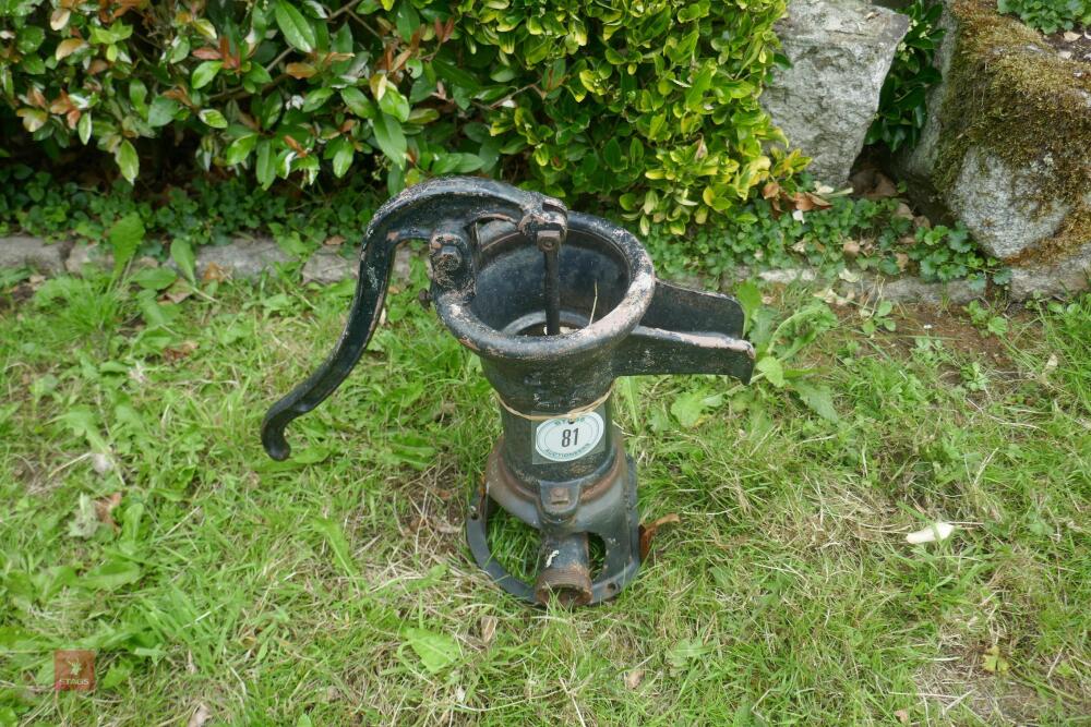 FREESTANDING WELL PUMP