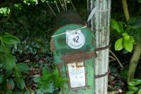 P.7.C. POST BOX (IRISH) - 7